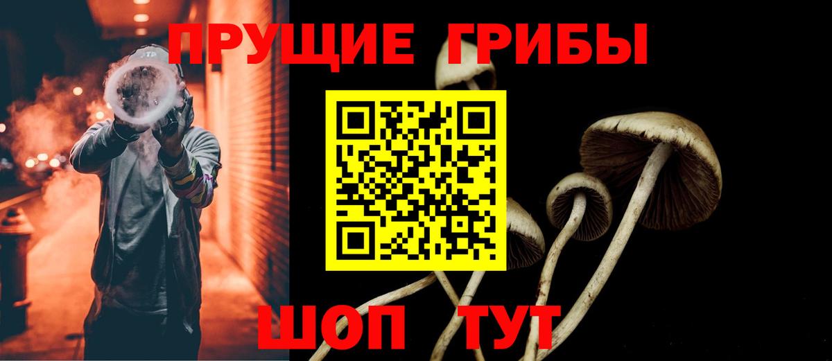 Псилоцибиновые грибы GOLDEN TEACHER  Галлюциногенные грибы GOLDEN TEACHER  Вход с VPN  Гусиноозёрск 